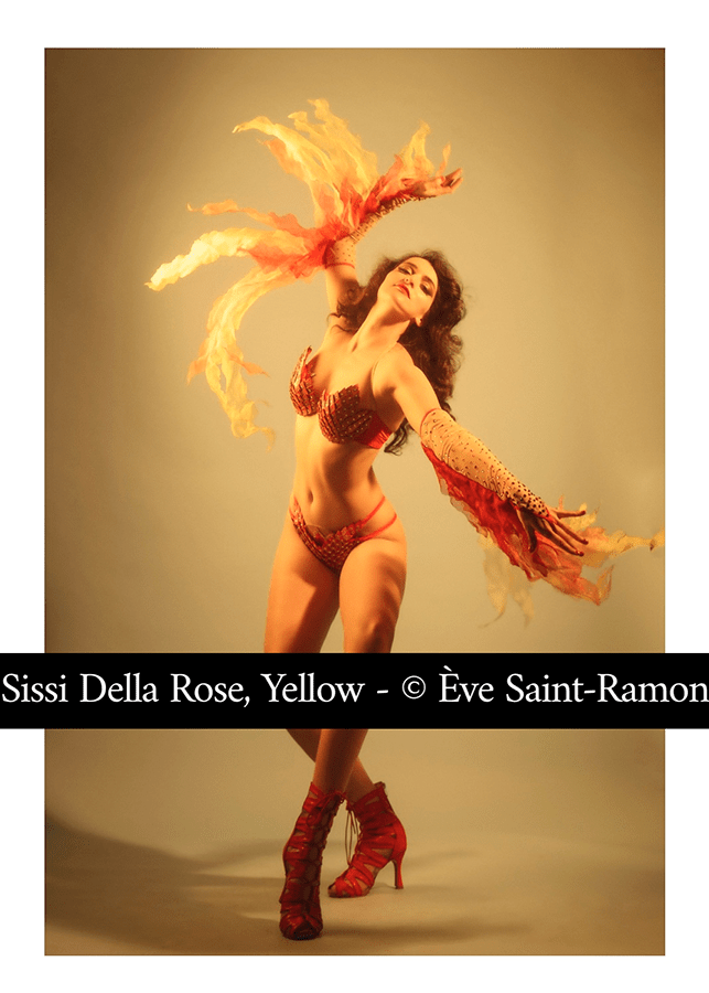 Sissi Della Rose, Yellow
